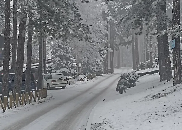 Pahulja Apartamento Zlatibor