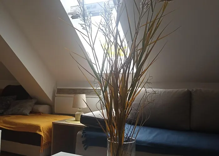 Pahulja Apartamento Zlatibor